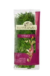 שמיר