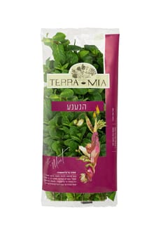 נענע