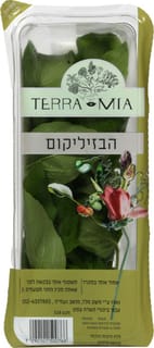 בזיליקום
