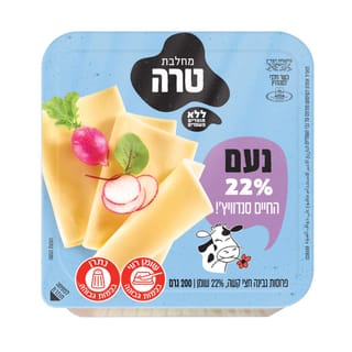 גבינה צהובה 22%