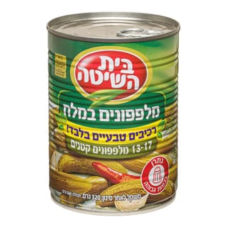 ב.הש.מלפ.מלח ר.טבע.א2 17-13 12*320ג חדש