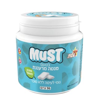 צנצנת ביג מנטה מרעננת 96 גר'