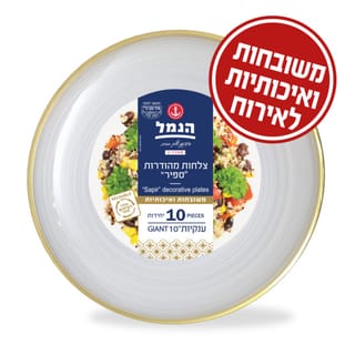 צלחות ספיר ענק פס זהב 10 יח'