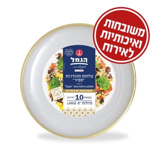 צלחות ספיר גדול פס זהב 10 יח'