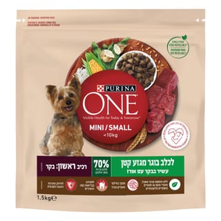 ONE מיני אקטיב בקר 1
