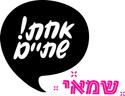 ר.שמאי