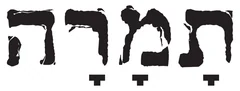 תמרה ארטיק בע"מ